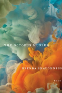 Book photo